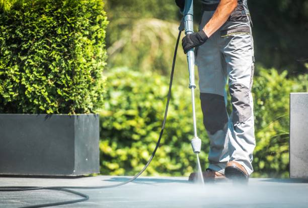 Best Sidewalk and Walkway Cleaning  in Siesta Shores, TX